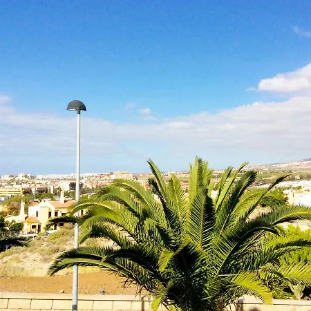 Canarias 310